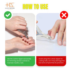 Stainless Steel Cuticle Nipper (HN-060)